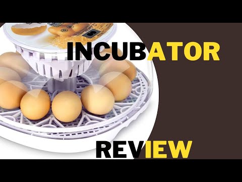 Amazon's smart Incubator Review