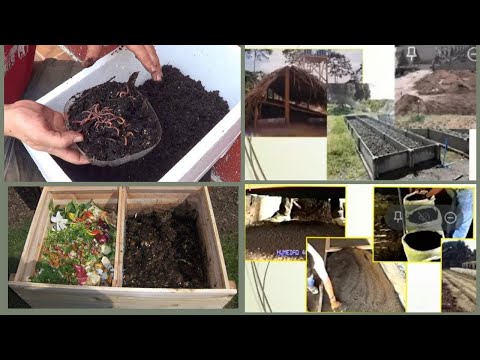 Vermiculture, Worm Capture, Food, Worm humus harvest.