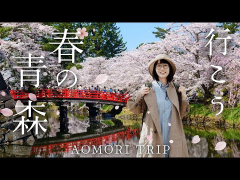 [Sub] Travel to Aomori, the city with the most beautiful spring in Japan.