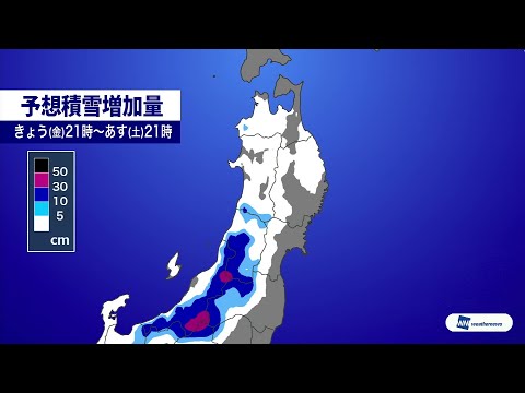 【最強寒波】3連休　今後の雪の見通し《新潟》