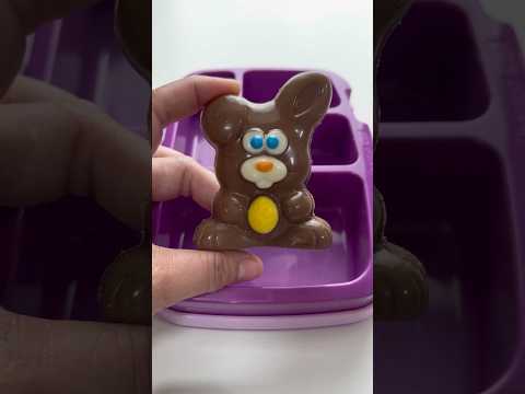 Packing School Lunch *CHOCOLATE BUNNY* #shorts