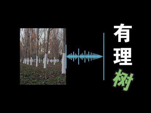 【数理小品】站在树林前，就能一眼看透有理数的奥秘？#有理数 #数学 #math