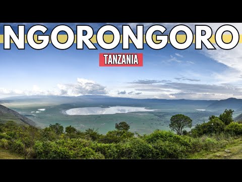 Exploring Ngorongoro: The Eighth Wonder of the Natural World | Tanzania Travel Guide