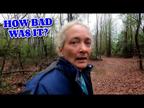 WAS IT UNDER WATER?|farm, tiny house, homesteading, RV life, RV living|