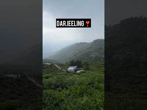 Darjeeling tour | Darjeeling tour 2024 | Darjeeling mall road | Darjeeling sightseeing | Writam Roy