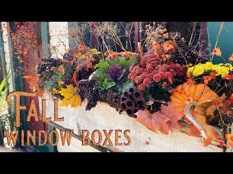 Fall Window Boxes - Outdoor Fall Decorating - Fall Planters - Fall Mums - Fall Containers