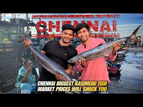 Chennai biggest wholesale fish market, kasimedu fish market full detail video with prices