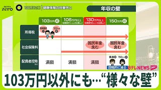 【誰でも分かる年収の壁】103万円以外にも…悩まされる当事者の声