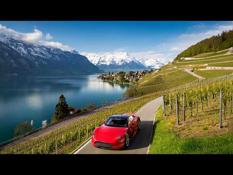 Panoramic Swiss Countryside with Grape Plantations on Lake Geneva 🇨🇭