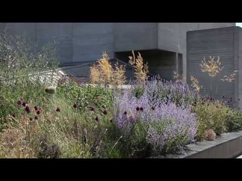 Two public roof gardens in Central London