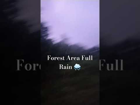 Full rain.. 🌧️#rain #rainsounds #fullrain #shortvideo