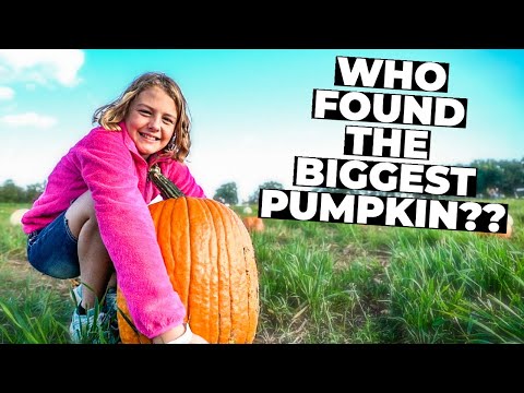 MISSOURI FALL FAMILY FUN | Exeter Corn Maze