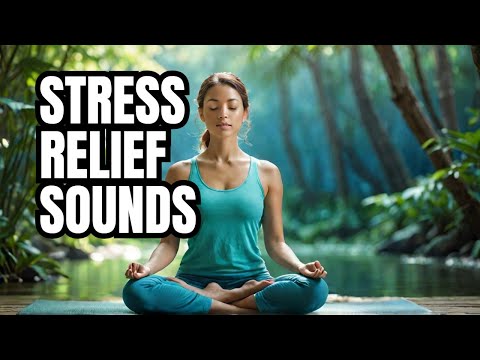 Unwind Your Mind: Stress Relief & Deep Sleep Sounds for Relaxation