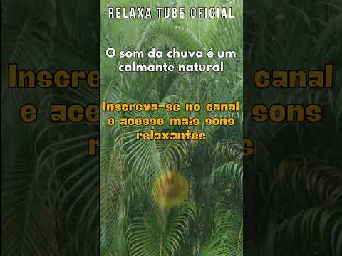 O SOM DA CHUVA É UM CALMANTE NATURAL #somdechuvapararelaxaredormir #somchuva  #rain #rainsounds