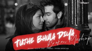 Tujhe Bhula Diya X Hale Dil (Broken Mashup) | Lo-fi 2307 | Mohit Chauhan X Harshit Saxena