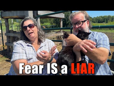 Fear Is A Liar