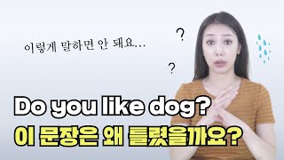 너 강아지 좋아해? 영어로 이렇게 말하면 안 되는 이유