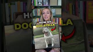 How My Sassy Pitbull Stella Helped Me Become A Millionaire 🐶📈💰