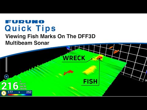 Furuno Quick Tips - Viewing Fish Marks on the DFF3D Multibeam Sonar