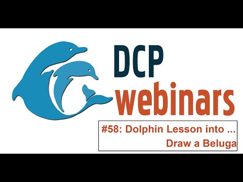 DCP Dolphin Lesson: How to Draw A Beluga