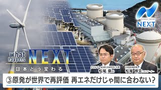 what happens NEXT 日本どう変わる？ ③原発が世界で再評価 再エネだけじゃ間に合わない？【NIKKEI NEWS NEXT】