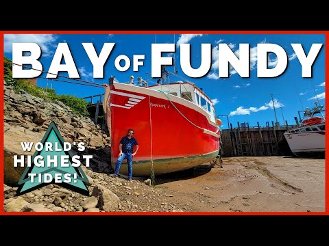 🍁😲 Bay of Fundy Tides are INCREDIBLE! Where to See World's Highest Tides | Newstates, eh? 🍁 Ep. 10