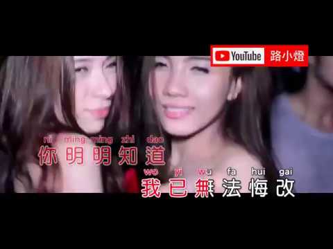 杭嬌 | 忘了我的愛 | (DJ版) | (1080P)KTV