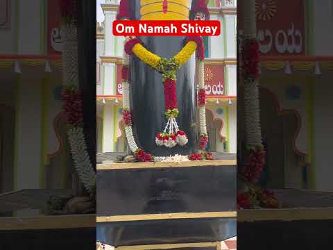 Om Namah Shivay #viralvideos #ytshorts #motivation