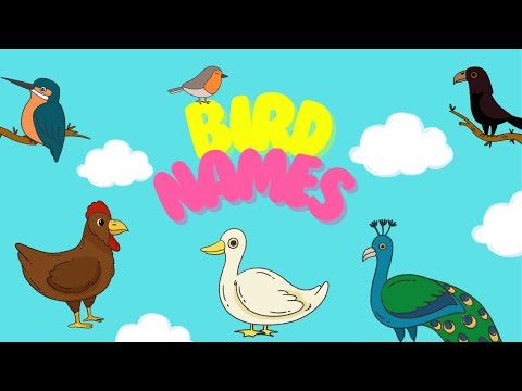 Birds Names Song for Kids Learn bird names Easily #viralvideo #youtubekids #kidssong #birdnames