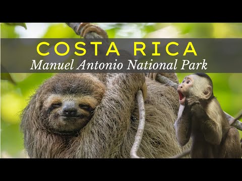 Everything you need to know BEFORE visiting Manuel Antonio National Park, Costa Rica