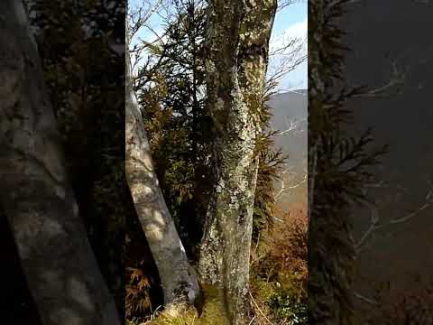 【山頂シリーズ】鬼の架け橋　金山