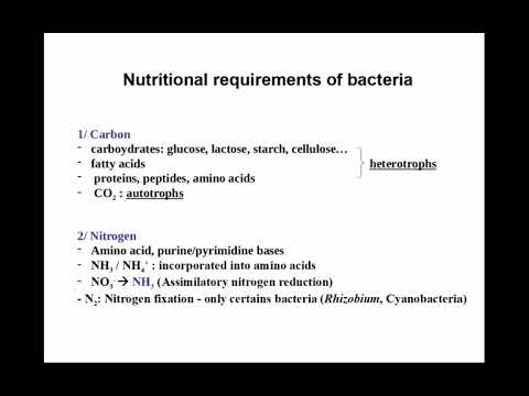 Microbio ABT CM4 2020