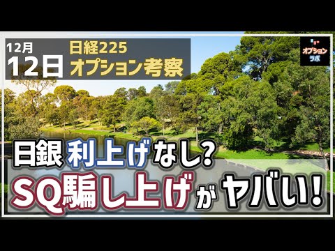 【日経225オプション考察】12/12 日銀 利下げなし？ 提灯記事のSQ騙し上げがヤバイぞ！