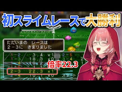 【ドラクエ5】初めてのスライムレースで大勝利するルイ姉【鷹嶺ルイ/ホロライブ切り抜き】