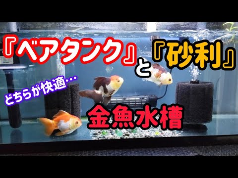 [金魚]　[金魚水槽]　ベアタンク・砂利水槽　良い所を取り入れ考えて！　こんなスタイルの水槽に…　#goidfish