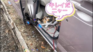 和みの里オートキャンプに行ってきました^_^