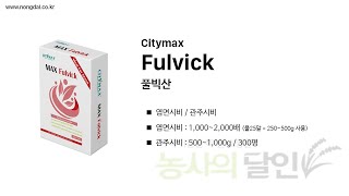 Citymax MaxFulvick 풀빅산 용해테스트