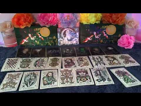 SAGITTARIUS   THEY WOKE UP WITH THIS DECISION ON THEIR MI SAGITTARIUS LOVE TAROT READING