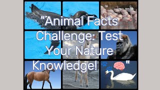 Animal Facts Challenge: Test Your Nature Knowledge! 🐾🧠#animalfacts #animals #animalquiz