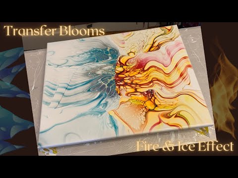 #213 Transfer Bloom - Fire & Ice Effect | Acrylic Pour Painting | Abstract | Fluid Painting