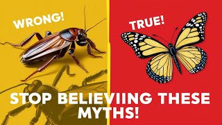 Stop Believing These Insect Myths.