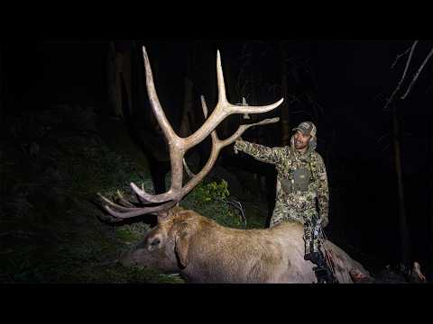 Backcountry Dreams Come True // Journey of a Public Land Archery Elk Hunt