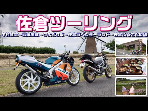 【#186】【佐倉市】のんびり観光ツーリング！「中村食堂」で絶品焼肉丼‼【VTR＆NSR】