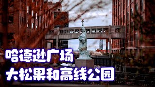 纽约 哈德逊广场  大松果和高线公园