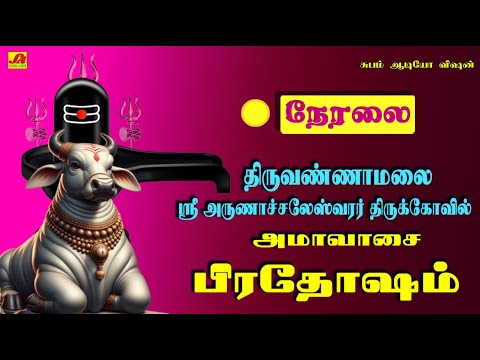 🔴  LIVE திருவண்ணாமலை பெரியநந்தி  அமாவாசை பிரதோஷம் அபிஷேகம்  #liveprodhasham