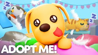 🐶2X PET AGING! 😺Build With BRAND NEW FURNITURE PACKS! 🏠Adopt Me! Update Trailer!