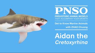 Aidan the Cretoxyrhina | The Story of Creating Aidan the Cretoxyrhina