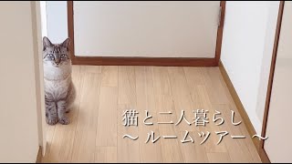 〈Vlog〉猫と二人暮らし＃33〜ルームツアー/猫と暮らすコツ/40代独身一人暮らし