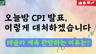 오늘밤 CPI 발표, 정답지 드립니다.  / 미국주식 차트분석 기술적분석 TQQQ SOXL TSLA NVDA USD