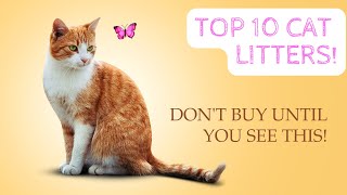 🐱🌟 Cat Litter Ultimate Guide: Types, Brands & Tips! 🐾 #catlitters #catsofinstagram